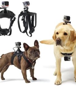 Harnesses